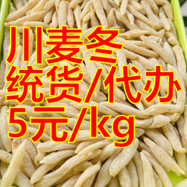 【推荐】四川绵阳三台县川麦冬整车统货采购代办