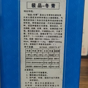 **冬青