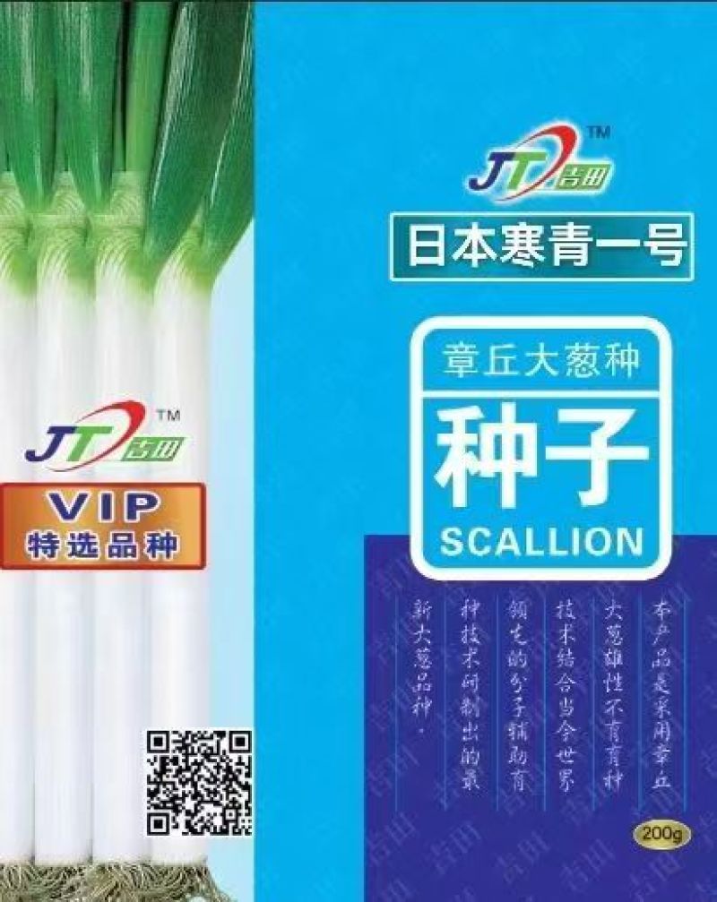 **冬青