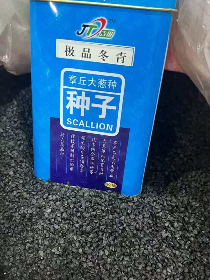 **冬青