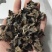 东北黑木耳/秋木耳/电商/地摊/展销会