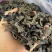 东北黑木耳/秋木耳/电商/地摊/展销会