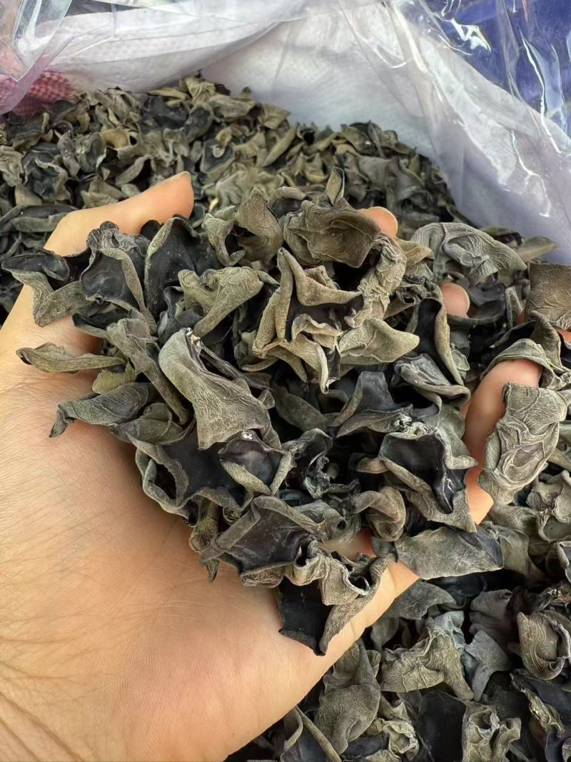 东北黑木耳/秋木耳/电商/地摊/展销会