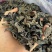 东北黑木耳/秋木耳/电商/地摊/展销会