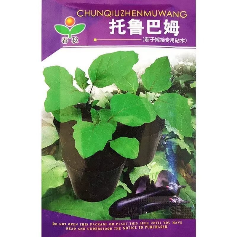 托鲁马姆茄子嫁接砧木种子苗子茄子砧木嫁接茄子秧苗嫁接种子