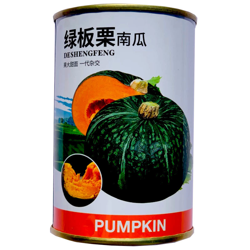 绿板栗南瓜种子早熟南瓜面窝瓜种籽黑贝贝南瓜超甜糯南瓜籽