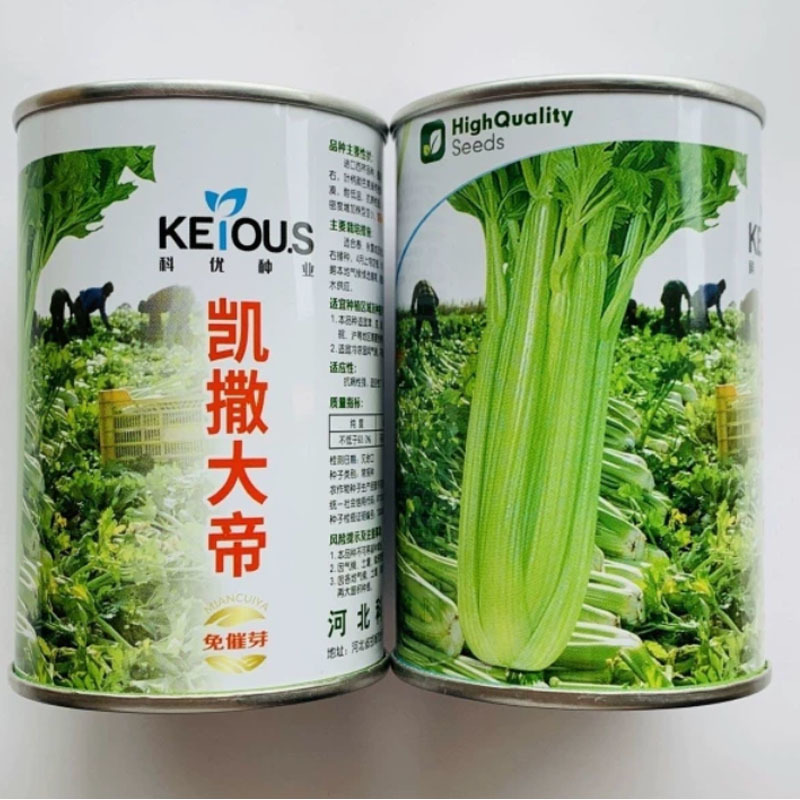 芹菜种子凯撒大帝西芹种子叶柄亮绿有光泽纤维少高产抗病强芹