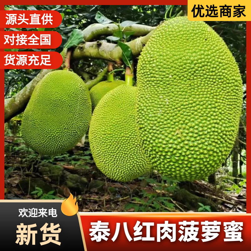 海南泰八红肉菠萝蜜，干苞脆甜肉厚核小，货源充足，全国发货