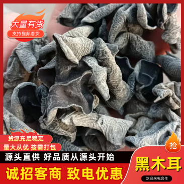 东北黑木耳/秋木耳/电商/地摊/展销会