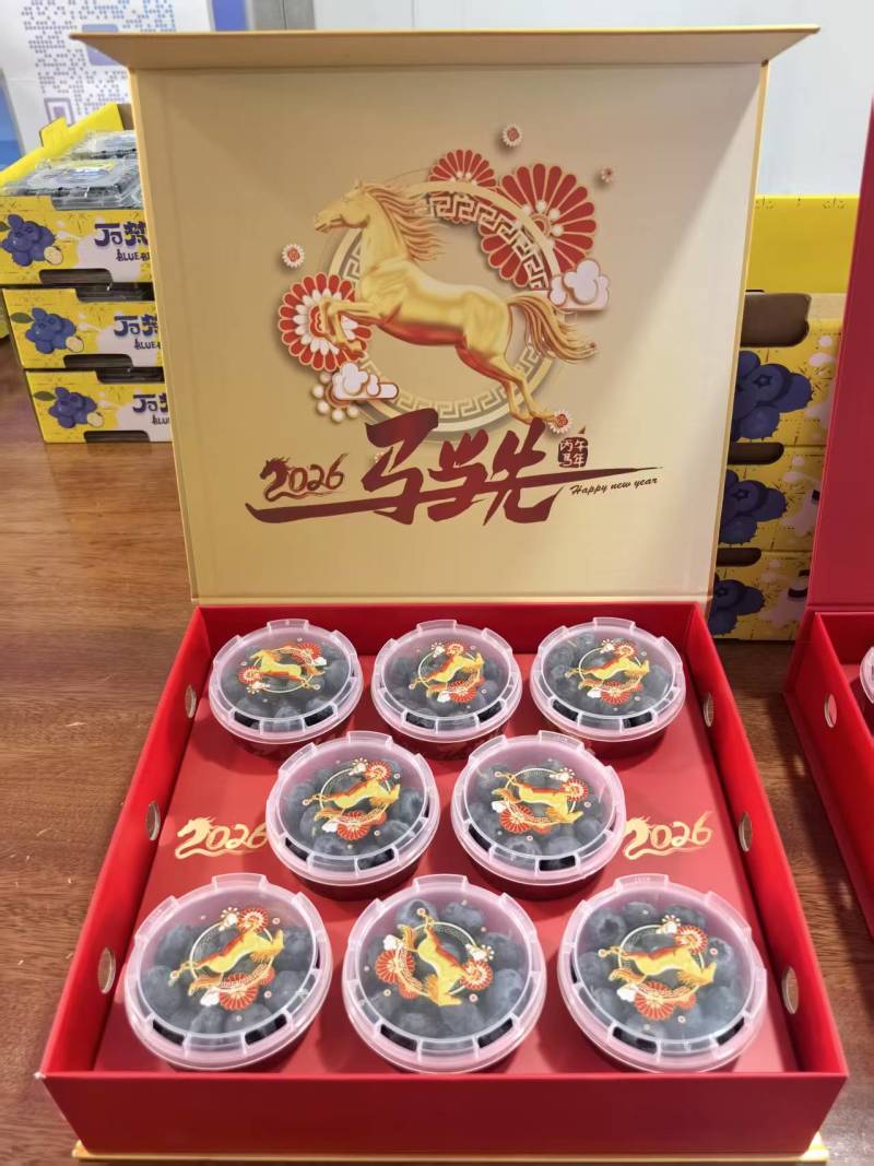 广西食养优选供应链有限公司精品蓝莓现货大量批发