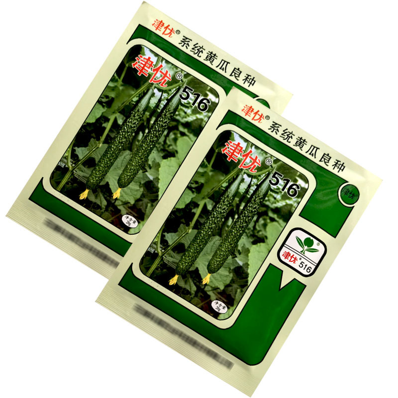 津优516露地黄瓜种子20g春秋季越夏露地密刺短把青黄瓜