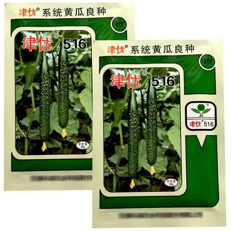 津优516露地黄瓜种子20g春秋季越夏露地密刺短把青黄瓜