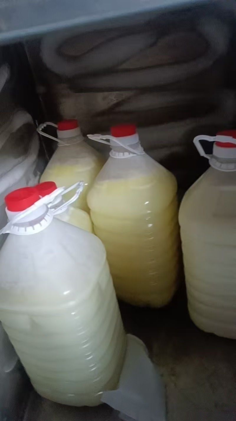 每日鲜羊奶，产地直发，支持视频看货，量大价优