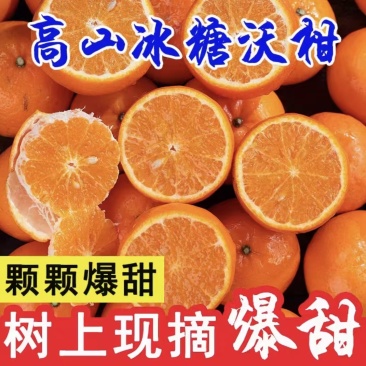 四川柑桔精品沃柑货源充足价格实惠欢迎联系甜美多