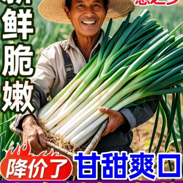 【热卖】山东大葱/铁杆大葱/一手货源/量大从优/品质保证