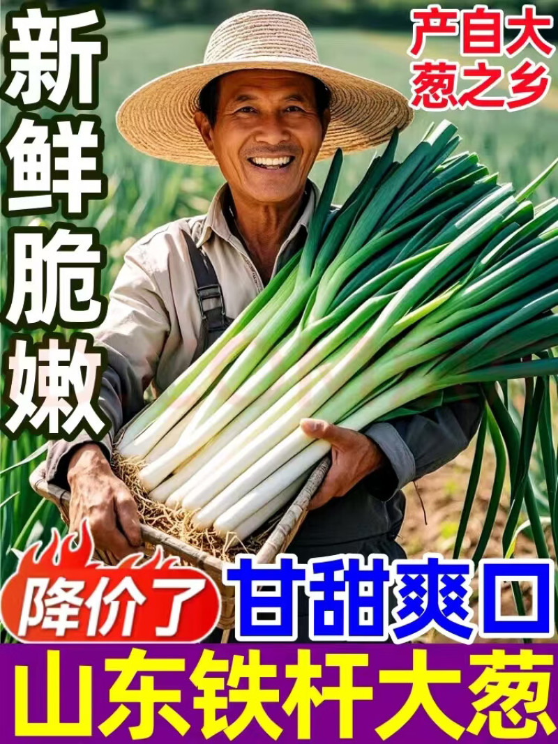 【热卖】山东大葱/铁杆大葱/一手货源/量大从优/品质保证