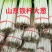 【热卖】山东大葱/铁杆大葱/一手货源/量大从优/品质保证