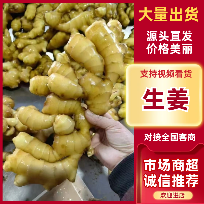 电商货生姜/出口生姜/赶集货/超市货/一手货源，代发全国