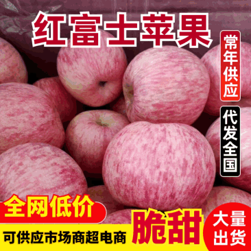 《红富士苹果》山东苹果/沂蒙山红富士/坏果包赔便宜