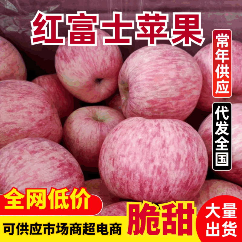 《红富士苹果》山东苹果/沂蒙山红富士/坏果包赔便宜
