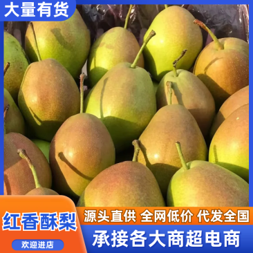 红香酥梨/品质保证/价格优惠/产地直发/电话联系