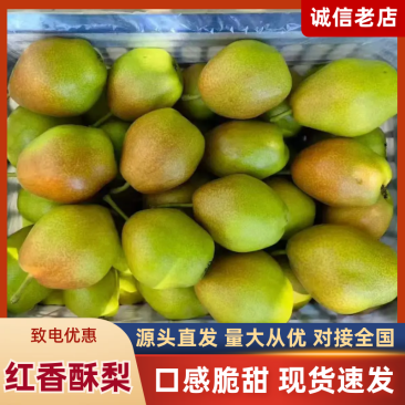 精品红香酥梨/产地直发/价格优惠/实力商家/欢迎合作