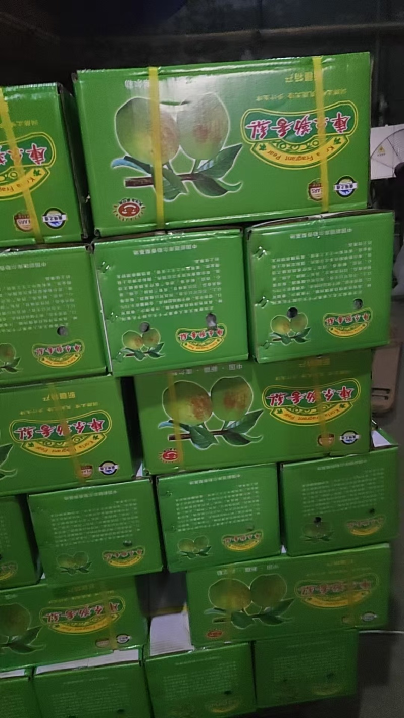 精品红香酥梨/产地直发/价格优惠/实力商家/欢迎合作