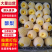 精品酥梨/品质保证/价格优惠/实力商家/欢迎合作