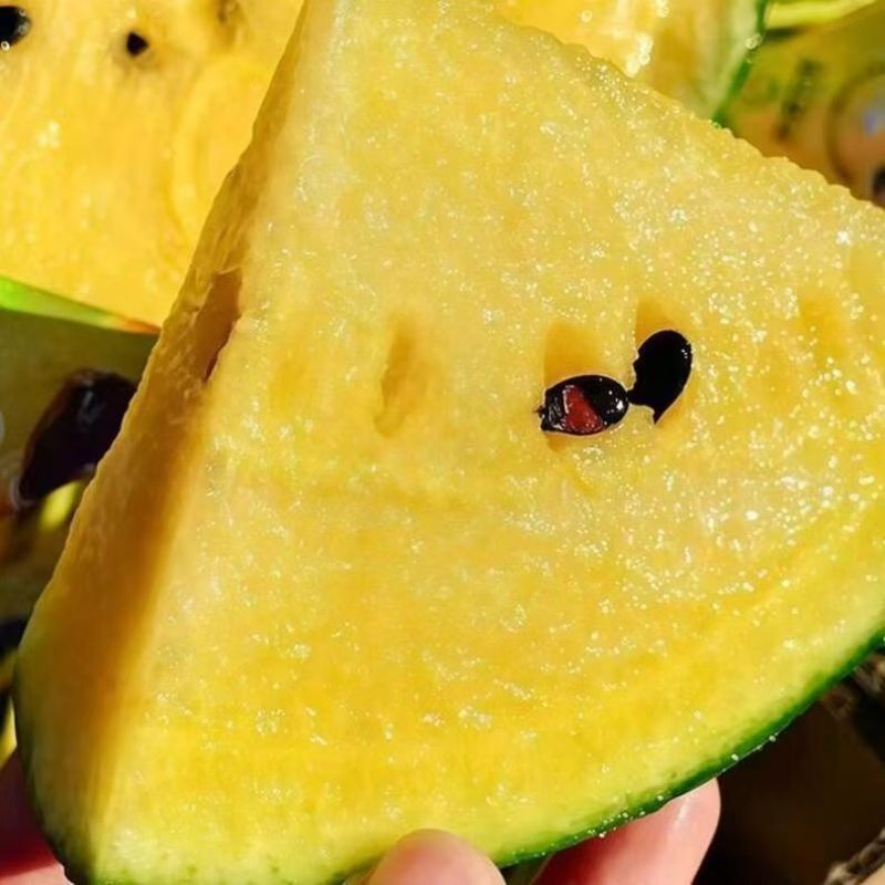 精品特小凤西瓜皮薄好吃水分充足甜度适中全国发货