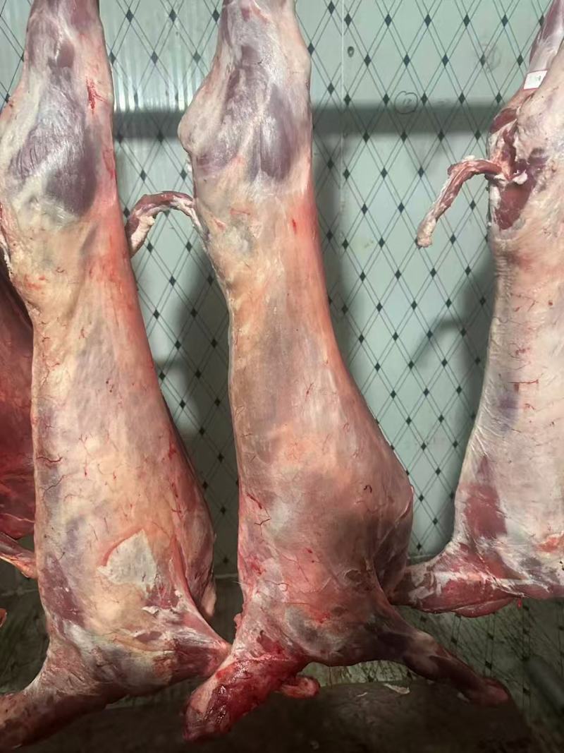 羊酮体羊肉厂家直发保质保量对接全国进店咨询