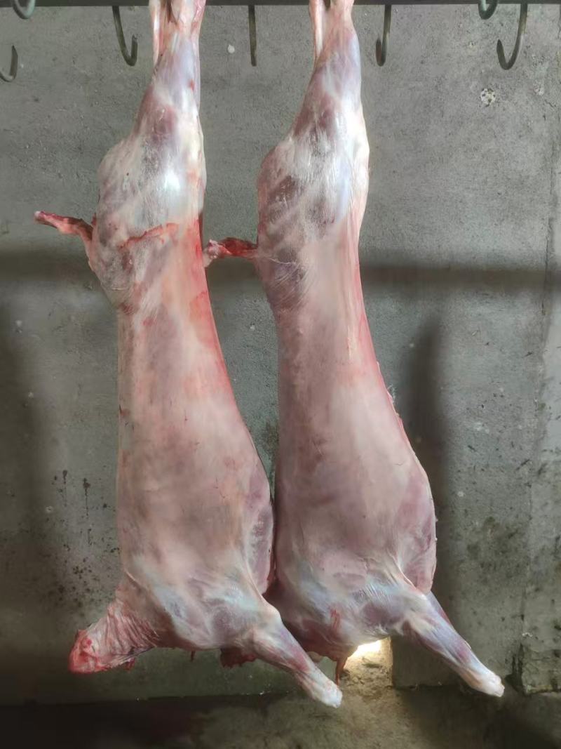 羊酮体羊肉厂家直发保质保量对接全国进店咨询