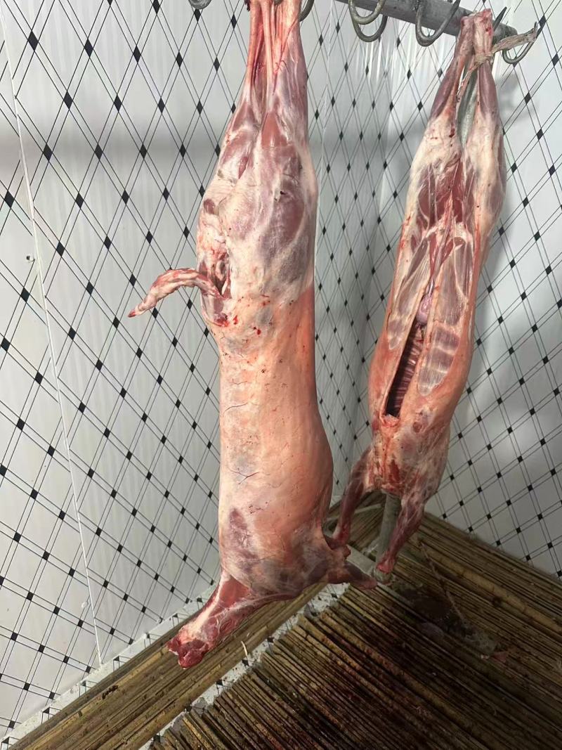 羊酮体羊肉厂家直发保质保量对接全国进店咨询