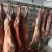 羊酮体羊肉厂家直发保质保量对接全国进店咨询