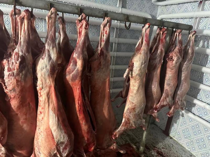 羊酮体羊肉厂家直发保质保量对接全国进店咨询