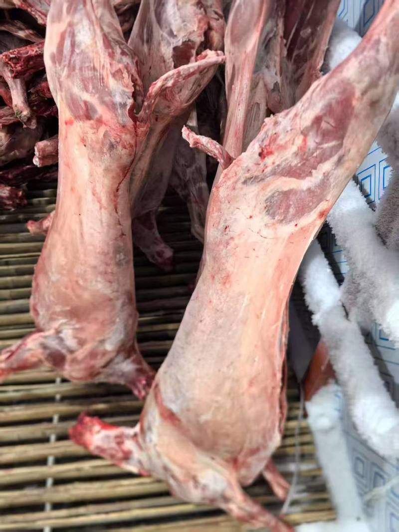 羊酮体羊肉厂家直发保质保量对接全国进店咨询