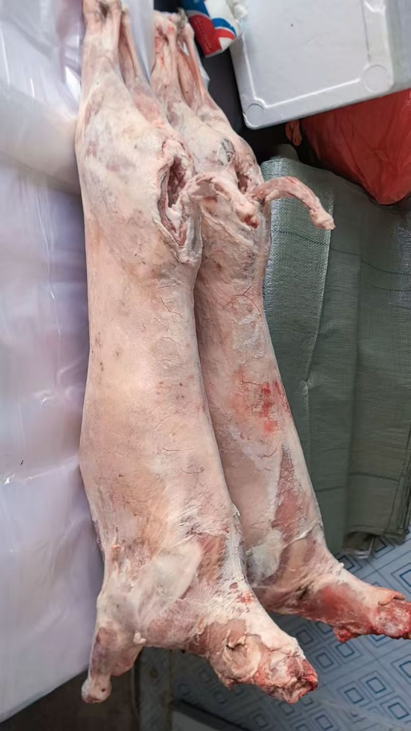 羊酮体羊肉厂家直发保质保量对接全国进店咨询