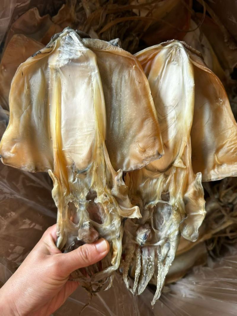 漳州东山墨鱼干干货8只左右一斤淡干墨鱼煲汤鲜美海产干货