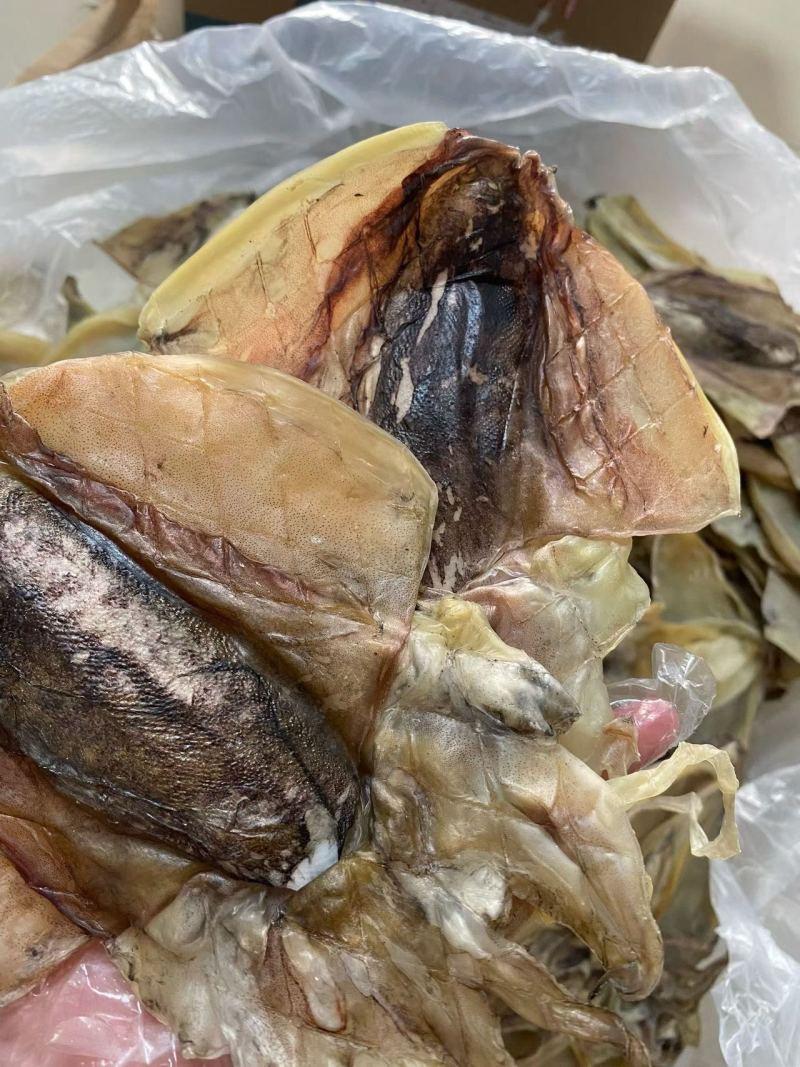 漳州东山墨鱼干干货8只左右一斤淡干墨鱼煲汤鲜美海产干货