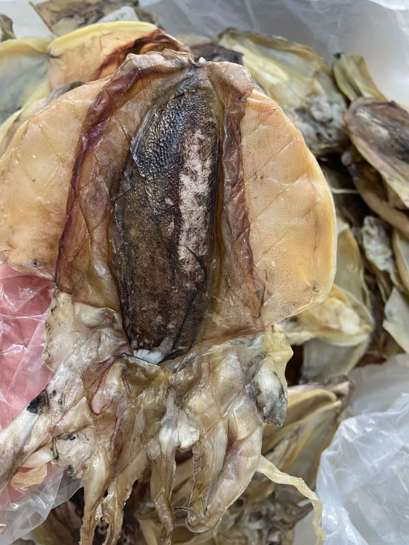 漳州东山墨鱼干干货8只左右一斤淡干墨鱼煲汤鲜美海产干货