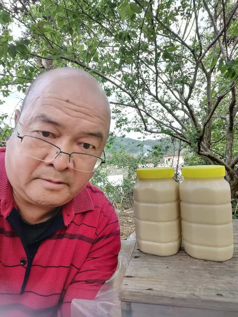 鸭脚树木蜜大量上市，对接档市场，商超，价格美丽，欢迎咨询