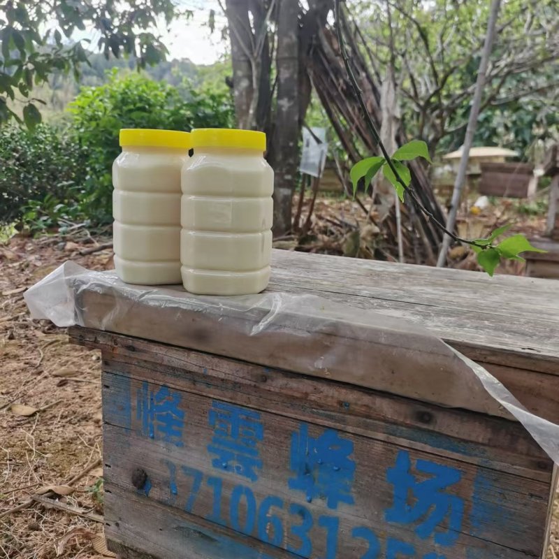 鸭脚树木蜜大量上市，对接档市场，商超，价格美丽，欢迎咨询