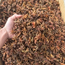 春花八角大货价12斤
