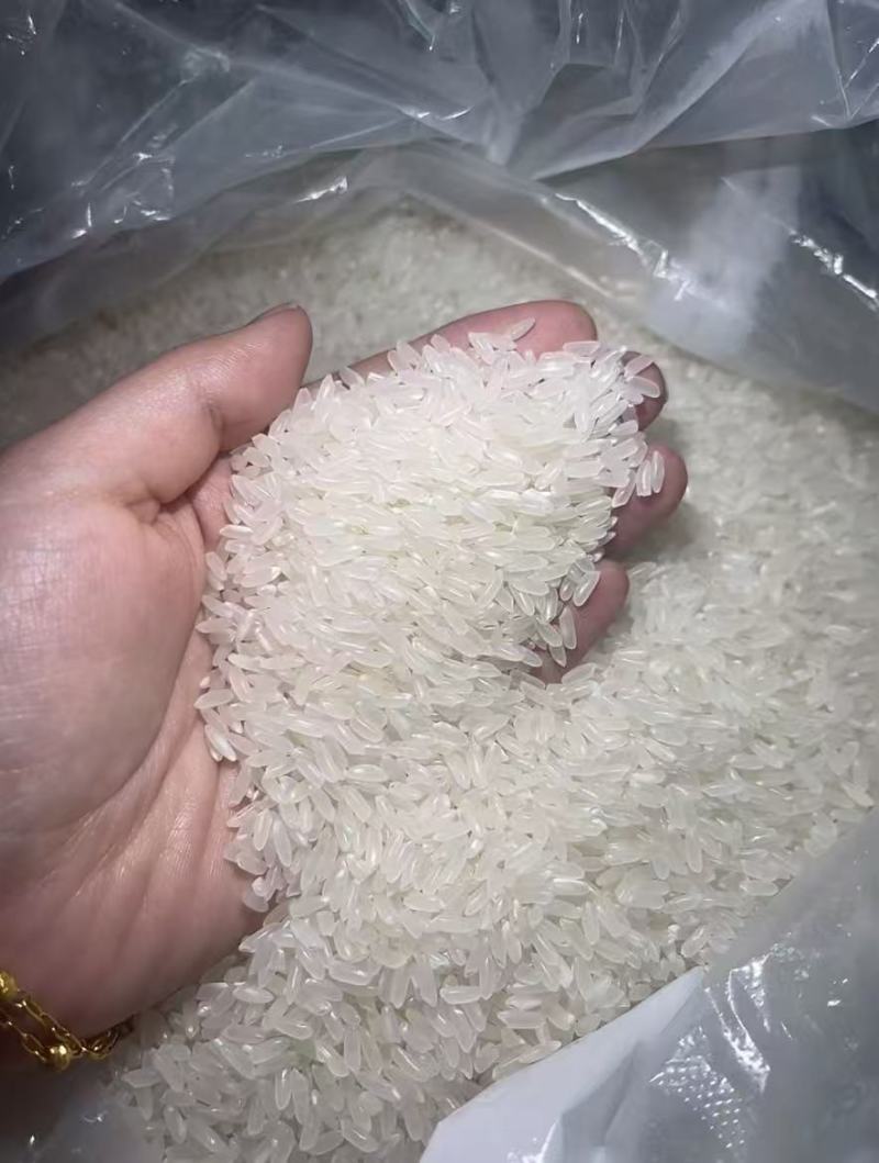 东北长粒香稻花香