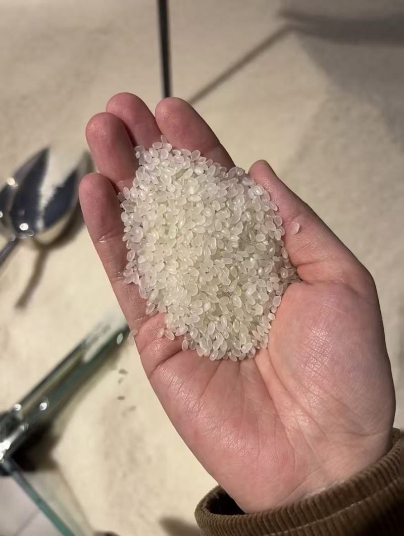 东北珍珠米