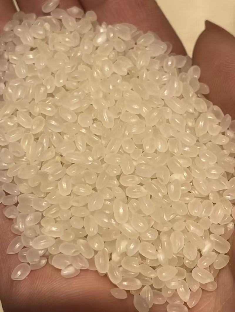 东北珍珠米