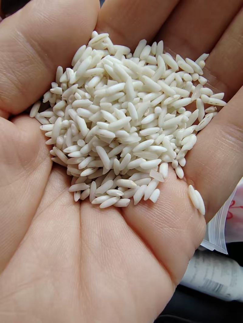 东北纯正糯稻
