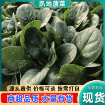 东台精品趴地波菜源头基地对接商超批发市场全国发货