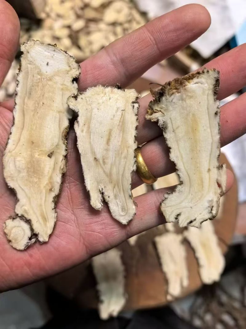 甘肃当归头芯片自家一手货源按需求分拣打包切片零售批发都可