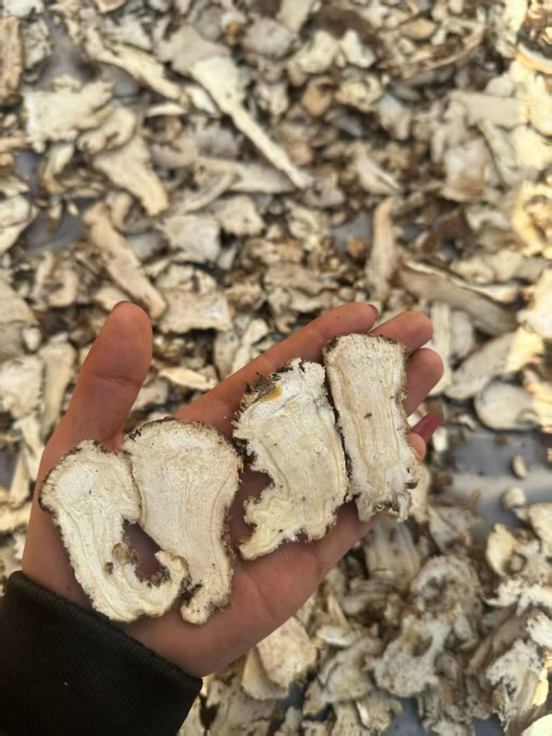 甘肃当归头芯片自家一手货源按需求分拣打包切片零售批发都可