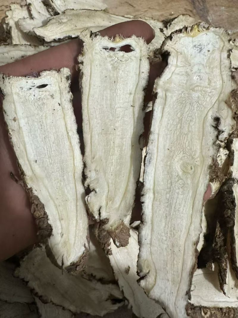 甘肃当归头芯片自家一手货源按需求分拣打包切片零售批发都可
